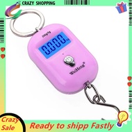 Portable Electronic Scale Backlight Luggage Hook Scale for 25kg 5g for Express Delivery and Small Lu