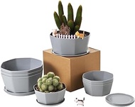 8 Pack 8.00 inch and 5.90 inch Gray Plastic Shallow Plant Pot, Octagon Bowl Planter Container with P