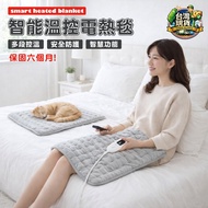 Electric Blanket Thermal Winter Safe Temperature Control Heating Single Double BSMI Certification|〉