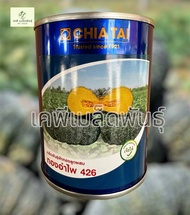 ฟักทองทองอำไพ426