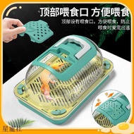 Pet Goods Shop🐱Climb Pet Gecko Lizard Mane Lion Gecko Insect Breeding Box Cage Portable Takeaway Bre