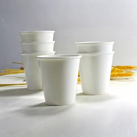 200ML,6pcs/lot, fine bone china nespressp mug, small coffee cup, plain white ceramic tumbler, tazas 