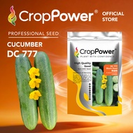 (100 GRAM) Biji Benih Timun Black Steel 铁金刚 DC777 CROP POWER F1 Hybrid Cucumber Seeds 黄瓜种子 DC 777