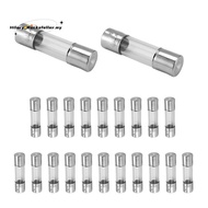 20 x 250 V 2A F2AL Quick F link Glass tube fuse 5 mm x 20 mm