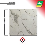 granit 60x60 - motif marmer - whitehorse carribean