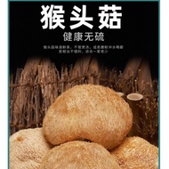 猴头菇 Lion's Mane Mushroom 250g+-
