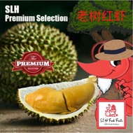 SLH 老树红虾(Old Tree Red Prawn) Fresh Durian Delivery 400g