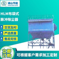Dust Removal Cloth Bag Stainless Steel Equipment Industrial Pulse Workshop Dust Collector Dust Colle