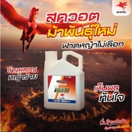 Diquat Dibromide Is A Contact Herbicide That Not Discriminated. Fast Acting (Burn) 4 Liters