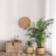 Live Stream Background Cloth, Home Decoration, Camera Decoration, Live Stream Room