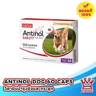 [EXP7/25] ANTINOL DOG วิตามินบำรุงข้อสุนัข บรรจุ 60 แคปซูล