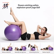 Zemith Alam Gym Ball Yoga Ball Therapy Ball PVC Prem Gym Ball Pregnant Women 65/ 75cm Yoga Ball Spor