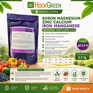 [ HG Expert ] NUTRIENT FERTILIZER (1kg)- FRUITY VEGETABLE, FRUIT 【B,MG,ZN,CA,FE,MN】