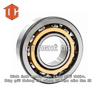 XLZY Bearing 6019 6220 61918 61914 6404 61816 61820 6308 6407 6024 6311 6411 61915 62309 6405 61813 