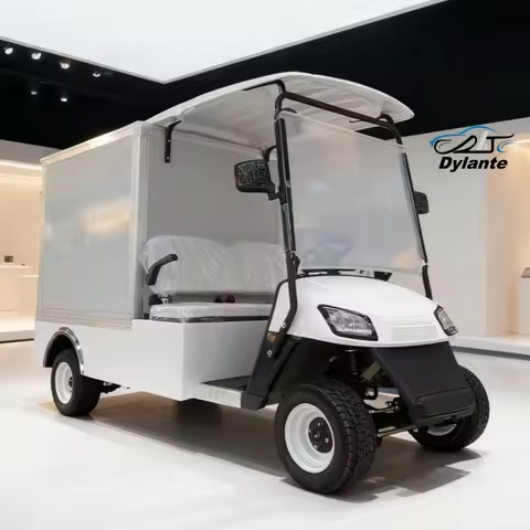 Scenic Sport Club Car Adult Electric Quadricycle Go Kart 2 Seater Car With Solar Panel Electric Golf