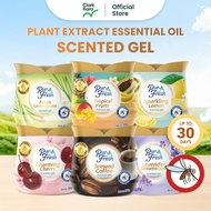 Purfresh 200g Natural Mosquito Repellent Scented Gel | Long-Lasting Solid Fragrance with Essential O