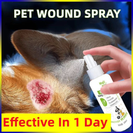 [Malaysia Ready Stock] Sterilize and relieve itching Ubat kutu kucing Dog itchy skin medicine Dog wo