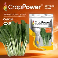 (500 GRAM) Biji Benih Sawi Jumbo Green 绿珍 CX9 CROP POWER F1 HYBRID Caixin seeds  菜心种子 CX 9