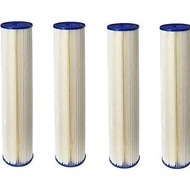 Filter Remover, Ecp5-20Bb Model