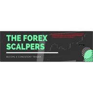 The Forex Scalpers - Supply and Demand Masterclass ( Package 21.32 GB Contains: 130 folders 540 file