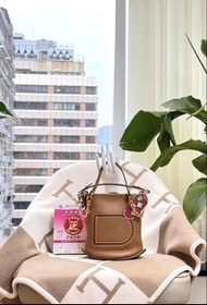 Delvaux Pin mini