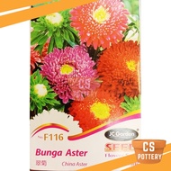 CS POTTERY F116 CHINA ASTER BUNGA ASTER JC GARDEN SEED BIJI BENIH 翠菊种子