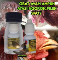 Obat Ngorok Alami Ayam Bangkok Aduan Super Ampuh Anti Snot, Pilek Pada Unggas