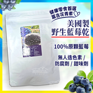 【全素低糖】美國野生藍莓乾 120g【平行進口】此日期前最佳：15/04/2027