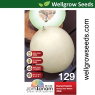 Honey Dew Melon Harunmanis (10 seeds) 洋香瓜 Jom Tanam by Crop Power JT129 Biji Benih