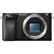 ☆晴光★SONY A6100 微單眼相機 單機身 索尼公司貨 台中店面