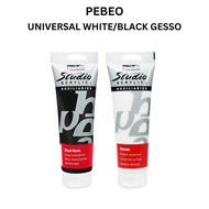 Pebeo Gesso Universal Primer Studio Acrylics Auxiliaries, 250 ml, Black/White, 8 Fl Oz