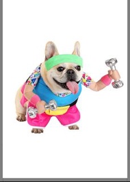 Halloween pet funny costume cosplay 萬聖節寵物裝扮