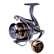 Reel Metal Fishing Spinning Reel DR2000 DR4000 DR6000， Reel Pancing Spinning Fishing 5.2:1 Ball 17+1