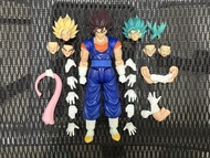 Kong模  龍珠 比古洛 1/12 Dragon Ball  bandai  杜拉格斯  悟飯  比達 魔契 著魔 不是 shf