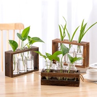 Wholesale Creative Hydroponic Wooden Frame Vase Tether Style Small Fresh Living Room Simple Decorati