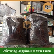 Kalium Permanganat PK 100 gram Obat Cacar Ikan Fumigasi Sterilisasi Ruangan