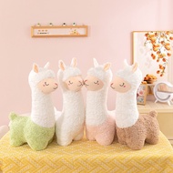 Teddy bear Stuffed animal - Alpaca wearing colorful clothes