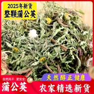 2025 Whole Dandelion 500g Wild Goods Chinese Herbal Materials New Products Granny Dandelion Dandelio