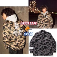 預訂 URSUS BAPE 系列🇯🇵 本週六開售 URSUS CAMO COACH JACKET