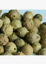 25 GR MANJAKANI/BIJI AJAIB MAJAKANI/MAJAKANI HERBAL//TAMAN ASRI SHOP