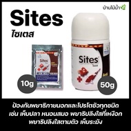 Sites ไซเตส ผลิตภัณฑ์ป้องกันพยาธิภายนอก และโปรโตชัวทุกชนิด เช่น เห็บปลา หนอนสมอ สำหรับปลาสวยงาม | บ้