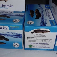 pro albumin ikan gabus
