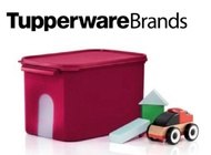 Tupperware Ezy Rectangular Keeper 6.5L / window treasure keeper  (1pc) - red