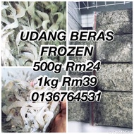 UDANG BERAS FROZEN/DEAD