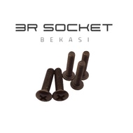 M5x20 Baut JF Flat Head Baut JF M5 x 20 Obeng Plus (5 PCS)