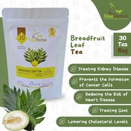 BREADFRUIT LEAF TEA : TEH DAUN SUKUN ORIGINAL ISI 30 TEA BAG -x1