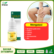 Obat Benjolan Lutut Kista Baker Benjolan Belakang Lutut Terlaris Propolis SM