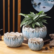 Simulation Dinosaur Egg Bonsai Ceramic Flowerpot Oversized Flower Succulent Plant Coriander Potted C
