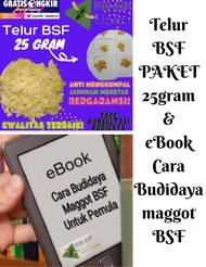 Telur maggot bsf & ebook budidaya maggot bsf telur bsf telur lalat bsf