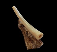 Once Duyung Bulat Panjang 15 cm